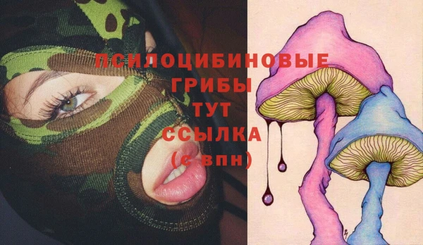 хмурый Арсеньев