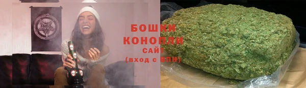 хмурый Арсеньев