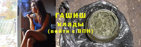 хмурый Арсеньев