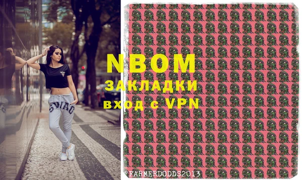 хмурый Арсеньев