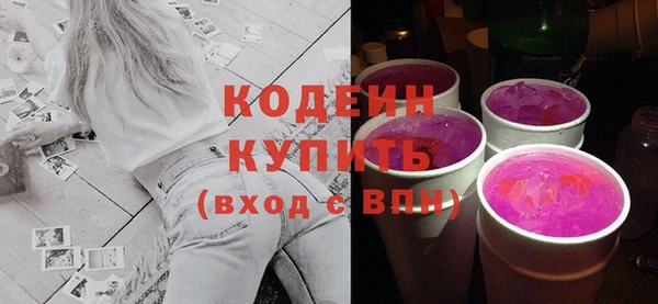 хмурый Арсеньев