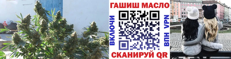 ТГК гашишное масло где продают hydra ONION Сергач