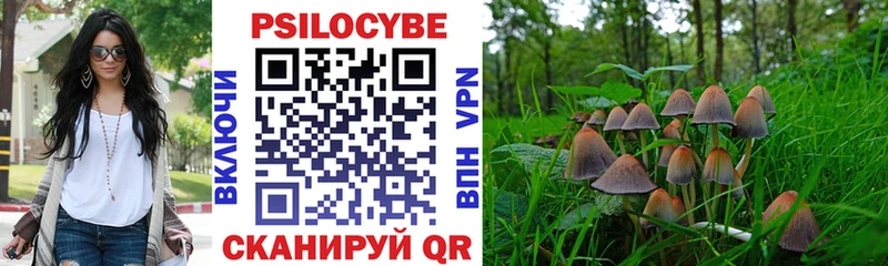 Галлюциногенные грибы GOLDEN TEACHER  цена наркотик  Сергач 